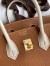 Hermes HSS Birkin 25 Bicolor Bag in Gold and Craie Clemence Leather