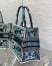 Dior Medium Book Tote Bag in Blue Butterfly Bandana Embroidery