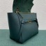 Celine Micro Belt Bag In Amazone Grained Calfskin