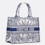 Dior Medium Book Tote Bag In White & Blue Rêve d'Infini Embroidery