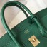 Hermes Birkin 25 Bag In Vert Vertigo Clemence Leather with GHW