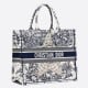 Dior Large Book Tote Bag In Around The World Embroidered Canvas